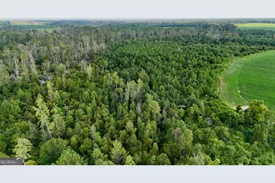 Tract 3 Rhonda Coleman Road, Hazlehurst, GA 31539 - Photo 26