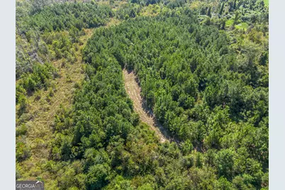 Tract 3 Rhonda Coleman Road, Hazlehurst, GA 31539 - Photo 8