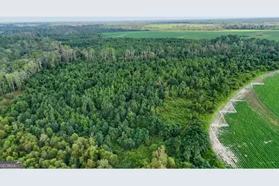 Tract 3 Rhonda Coleman Road, Hazlehurst, GA 31539 - Photo 22