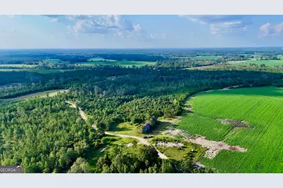 Tract 3 Rhonda Coleman Road, Hazlehurst, GA 31539 - Photo 4