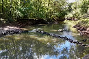 795 Alexander Rd, Gay, GA 30218 - Photo 8