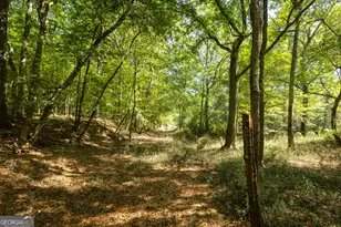 795 Alexander Rd, Gay, GA 30218 - Photo 52