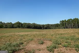 795 Alexander Rd, Gay, GA 30218 - Photo 46