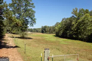 795 Alexander Rd, Gay, GA 30218 - Photo 54