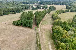 795 Alexander Rd, Gay, GA 30218 - Photo 42