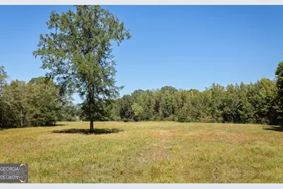 795 Alexander Road, Gay, GA 30218 - Photo 56