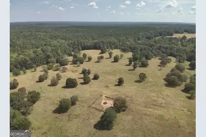 120 Torbet Road, Forsyth, GA 31029 - Photo 64