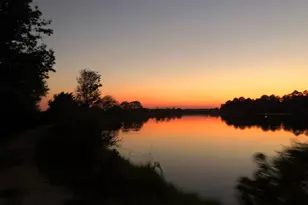 1370 Lake Dr, Midway, GA 31320 - Photo 6