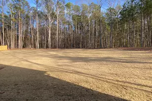 Lot 198 Northshore At Redwine Dr, Newnan, GA 30263 - Photo 44