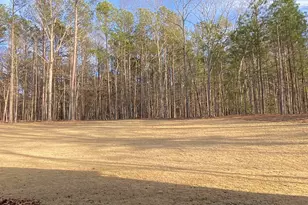 Lot 198 Northshore At Redwine Dr, Newnan, GA 30263 - Photo 40