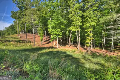Lot 41 Ridge Drive, Morganton, GA 30560 - Photo 28