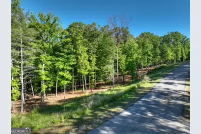 Lot 41 Ridge Drive, Morganton, GA 30560 - Photo 32