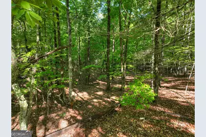 Lot 41 Ridge Drive, Morganton, GA 30560 - Photo 10