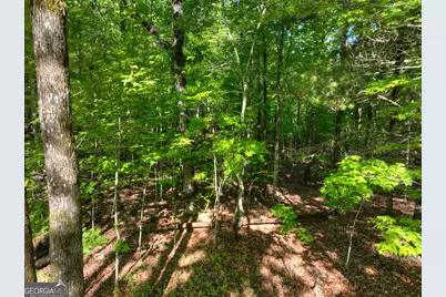 Lot 41 Ridge Drive, Morganton, GA 30560 - Photo 34