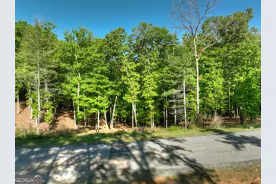 Lot 41 Ridge Drive, Morganton, GA 30560 - Photo 30
