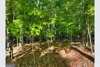 Lot 41 Ridge Drive, Morganton, GA 30560 - Photo 12