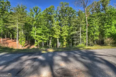 Lot 41 Ridge Drive, Morganton, GA 30560 - Photo 26