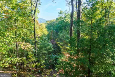 24 Casey Court, Blue Ridge, GA 30513 - Photo 32