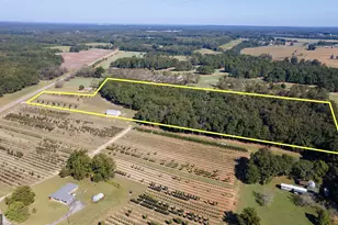 1904 Hwy 341 S, Barnesville, GA 30204 - Photo 2