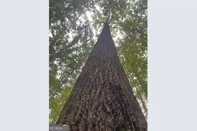 0 Elder Road, Griffin, GA 30223 - Photo 22