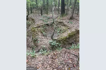 0 Elder Road, Griffin, GA 30223 - Photo 10