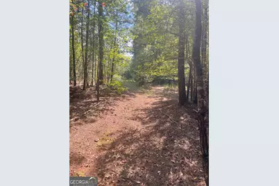 0 Elder Road, Griffin, GA 30223 - Photo 24