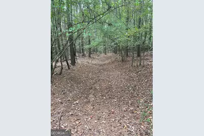 0 Elder Road, Griffin, GA 30223 - Photo 46