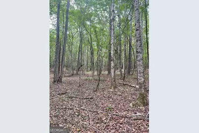 0 Elder Road, Griffin, GA 30223 - Photo 20