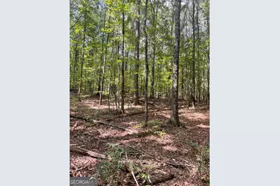 0 Elder Road, Griffin, GA 30223 - Photo 6