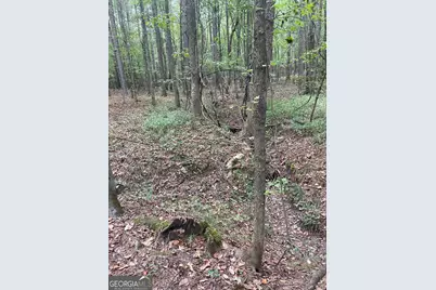 0 Elder Road, Griffin, GA 30223 - Photo 44