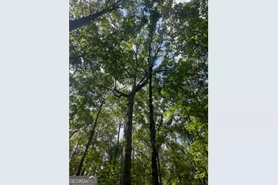 0 Elder Road, Griffin, GA 30223 - Photo 28