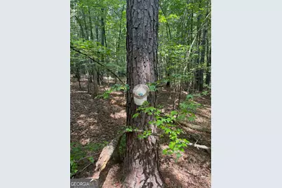 0 Elder Road, Griffin, GA 30223 - Photo 30