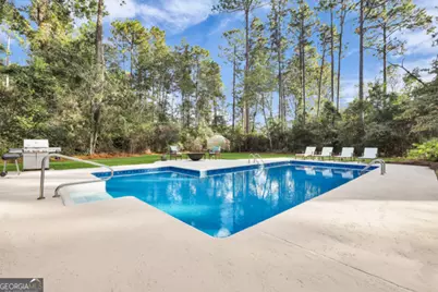 252 Hagin Lane, Statesboro, GA 30461 - Photo 60