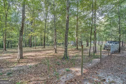 81 Peach Blossom Road, Bonaire, GA 31071 - Photo 68