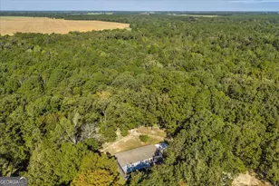 81 Peach Blossom Rd, Bonaire, GA 31071 - Photo 52