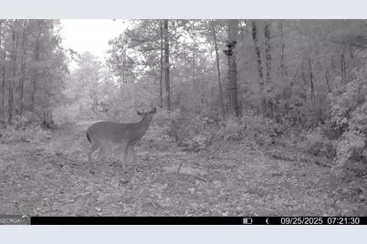 15 Turning Point Way, Elberton, GA 30635 - Photo 12