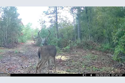 15 Turning Point Way, Elberton, GA 30635 - Photo 8