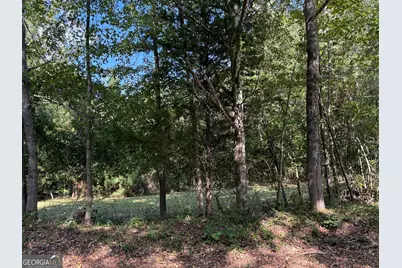 0 Hudson, Hamilton, GA 31811 - Photo 2