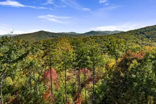 1655 Mangum's Trail, Blue Ridge, GA 30513 - Photo 4