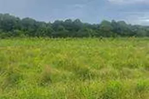 729 Taylor Town Rd NE, Ranger, GA 30734 - Photo 1