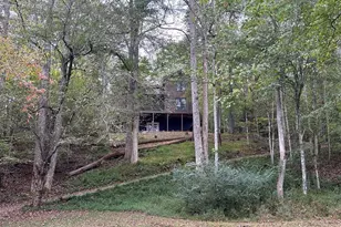 445 Twin Creeks Rd, Blue Ridge, GA 30513 - Photo 40