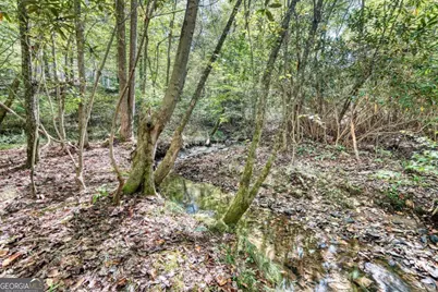 3966 Hickory Nut Drive, Hiawassee, GA 30546 - Photo 46