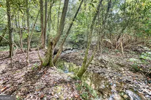 3966 Hickory Nut Dr, Hiawassee, GA 30546 - Photo 46