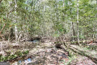 3966 Hickory Nut Drive, Hiawassee, GA 30546 - Photo 48