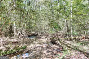 3966 Hickory Nut Dr, Hiawassee, GA 30546 - Photo 48