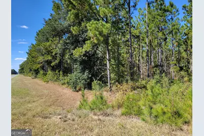 0 Tuton Road, Baconton, GA 31716 - Photo 2