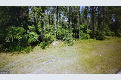 0 Tuton Road, Baconton, GA 31716 - Photo 6