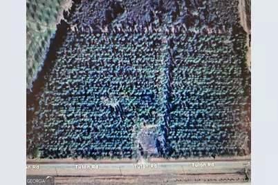 0 Tuton Road, Baconton, GA 31716 - Photo 4