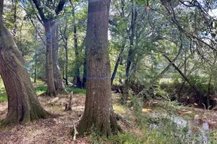 1398 Vanna Rd, Royston, GA 30662 - Photo 30