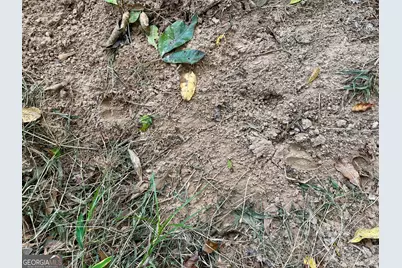 1398 Vanna Road, Royston, GA 30662 - Photo 34